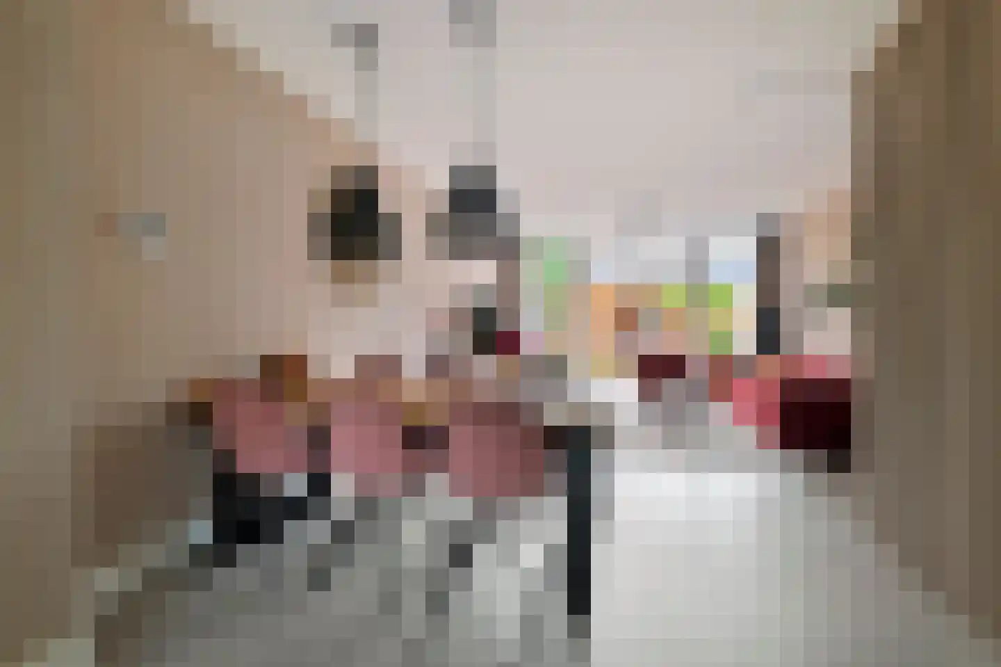 Rhijnestein 88 Landsmeer thumbnail 8