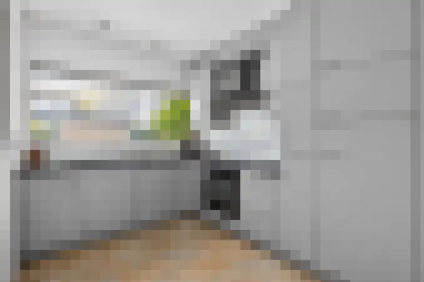 Rhijnestein 89 Landsmeer thumbnail 11