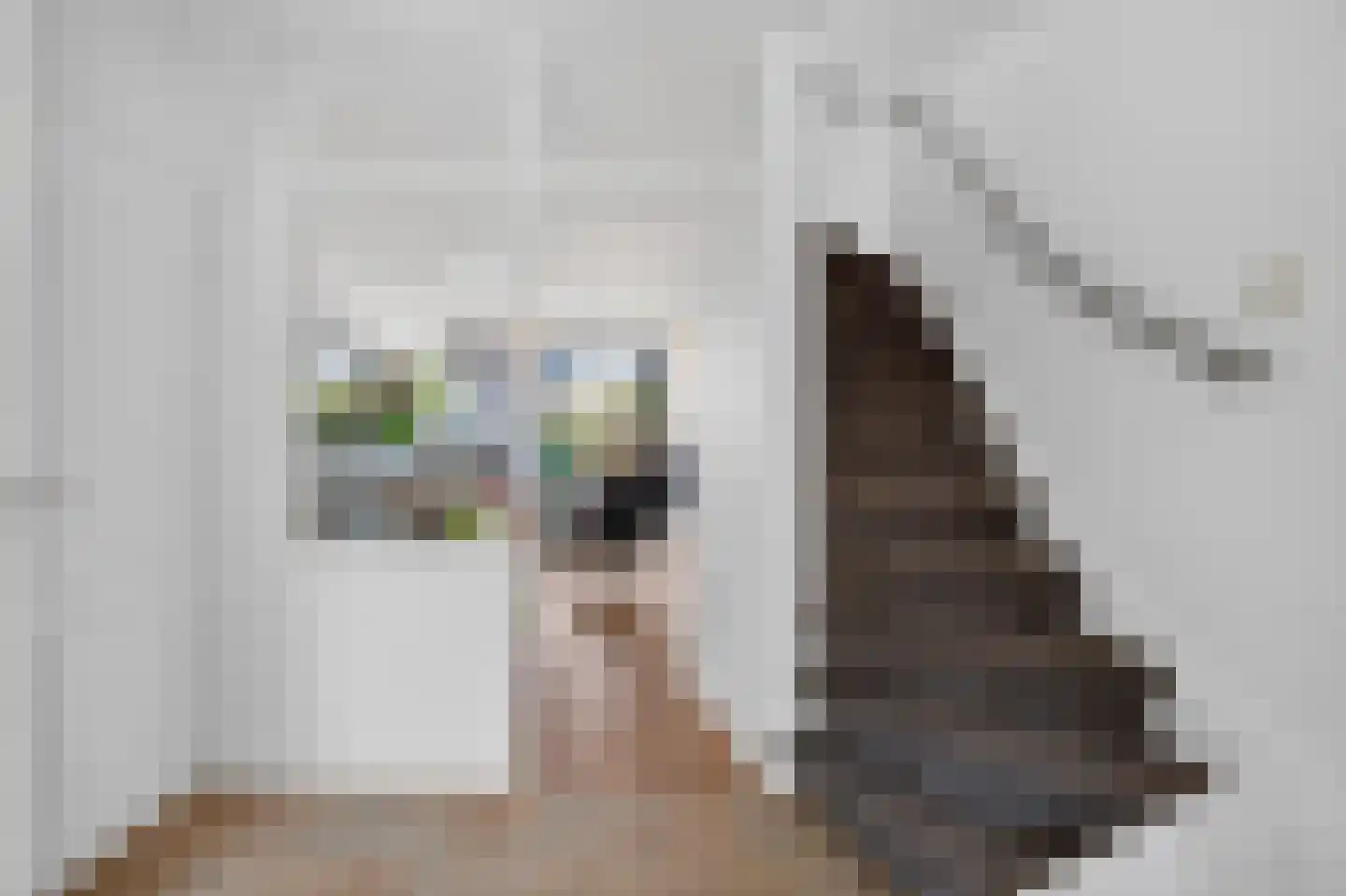 Rhijnestein 89 Landsmeer thumbnail 14