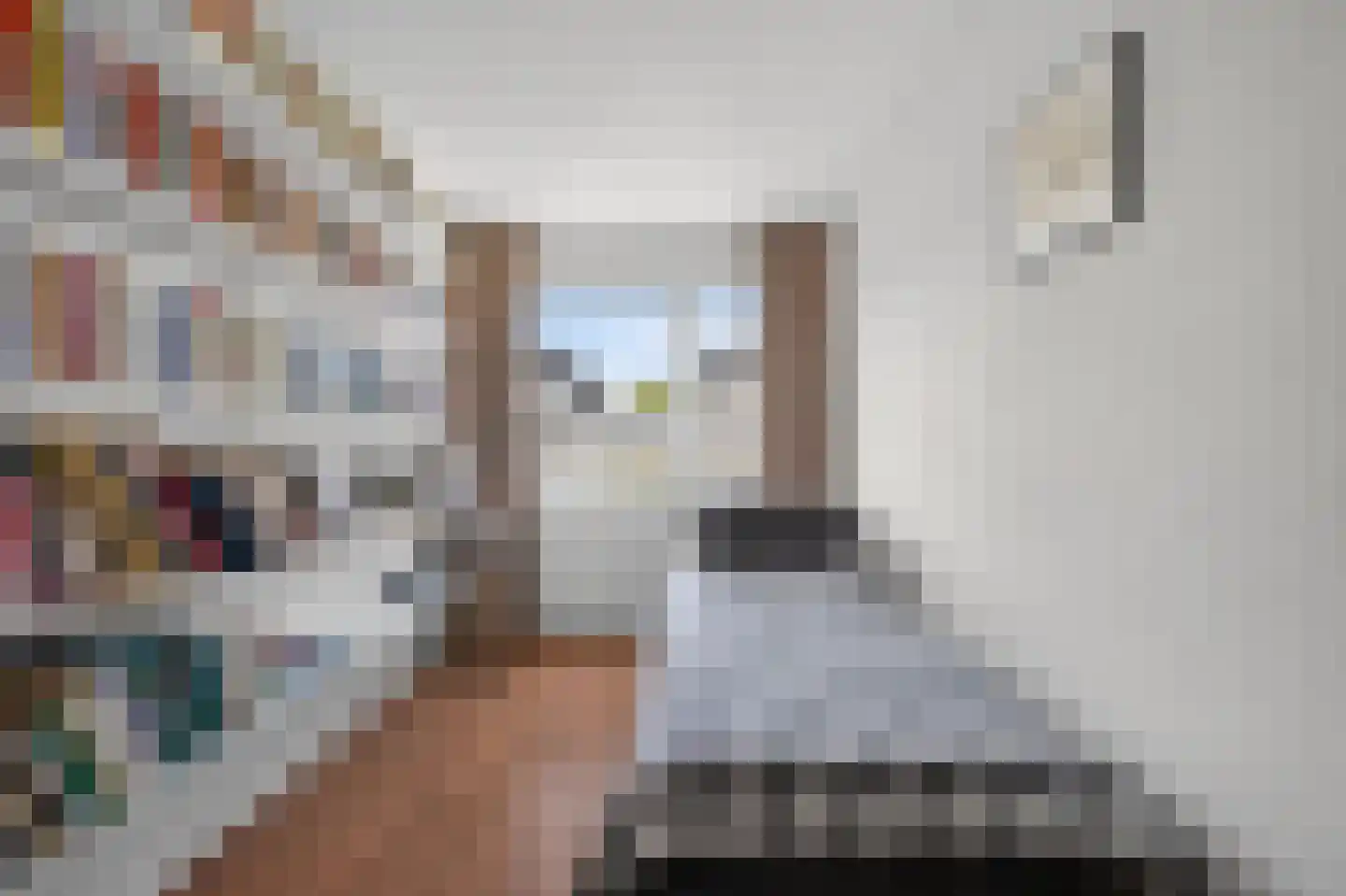 Rhijnestein 89 Landsmeer thumbnail 25