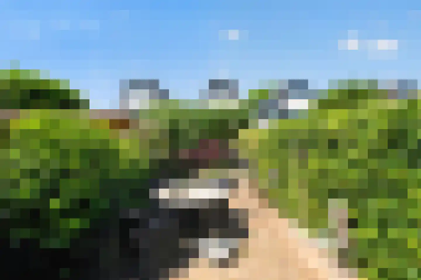 Rhijnestein 89 Landsmeer thumbnail 27