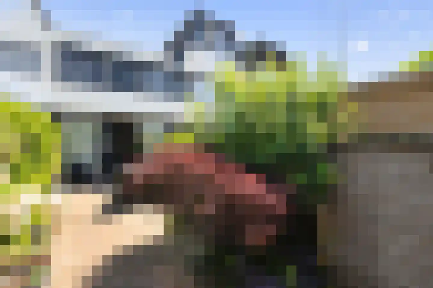 Rhijnestein 89 Landsmeer thumbnail 28