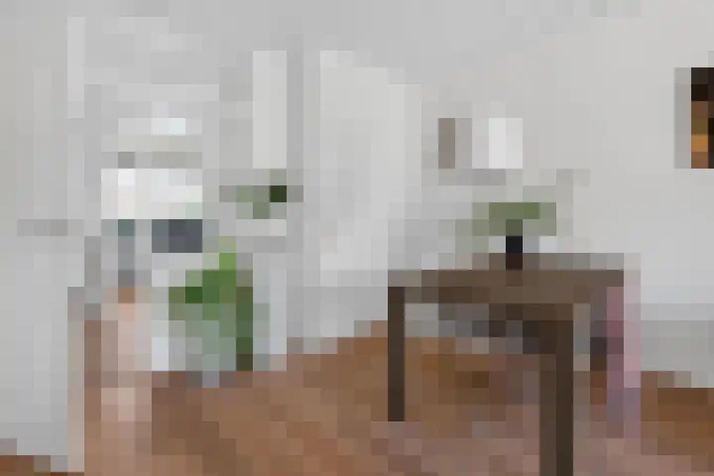 Rhijnestein 89 Landsmeer thumbnail 7