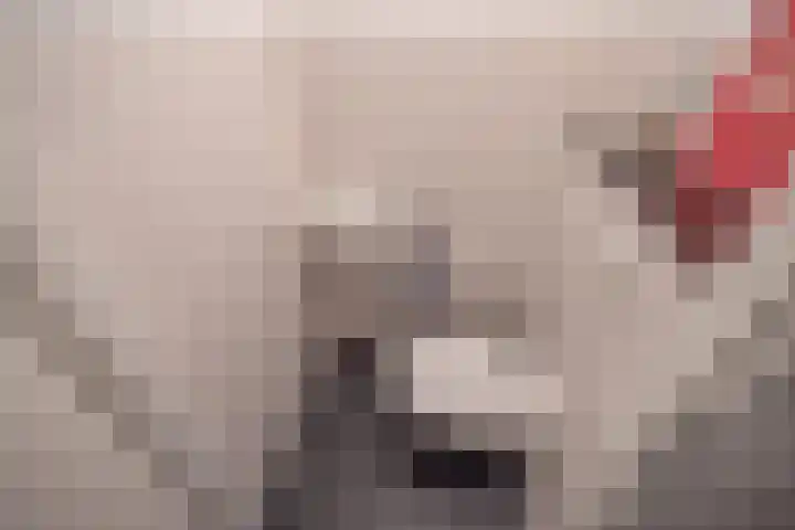 Rhijnesteinstraat 16 Den Haag thumbnail 10
