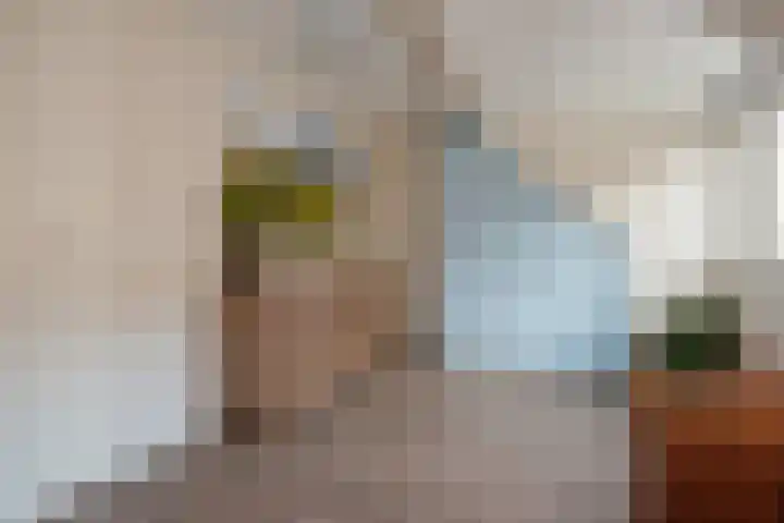 Rhijnesteinstraat 16 Den Haag thumbnail 36
