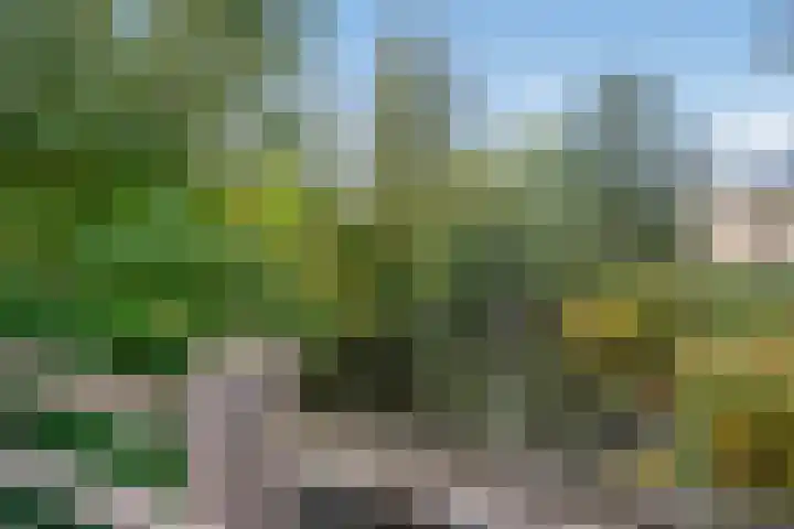 Rhijnesteinstraat 16 Den Haag thumbnail 46