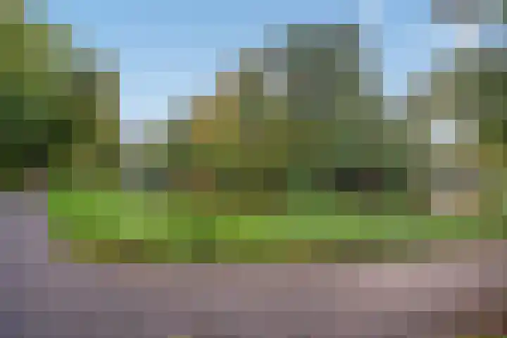 Rhijnesteinstraat 16 Den Haag thumbnail 47