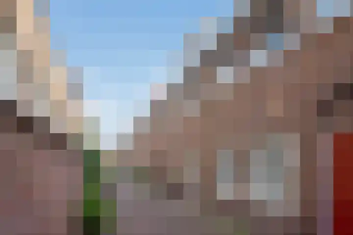 Rhijnesteinstraat 16 Den Haag thumbnail 6