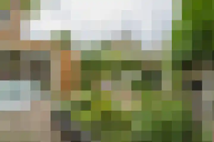 Rhijngeesterstraatweg 120 Oegstgeest thumbnail 17