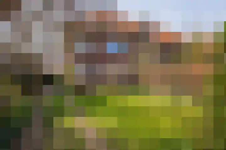 Rhijngeesterstraatweg 143 Oegstgeest thumbnail 4