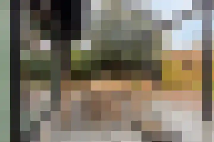 Rhijngeesterstraatweg 199 Oegstgeest thumbnail 9