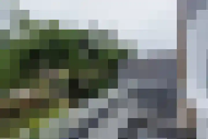Rhijngeesterstraatweg 87 Oegstgeest thumbnail 47