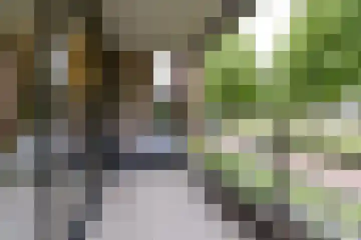 Rhijnhaeghe 24 Bunnik thumbnail 23