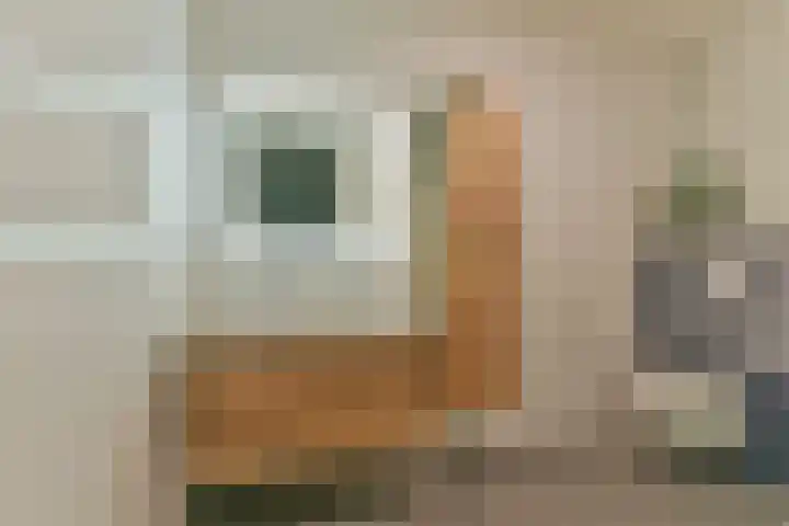 Rhijnhaeghe 24 Bunnik thumbnail 37