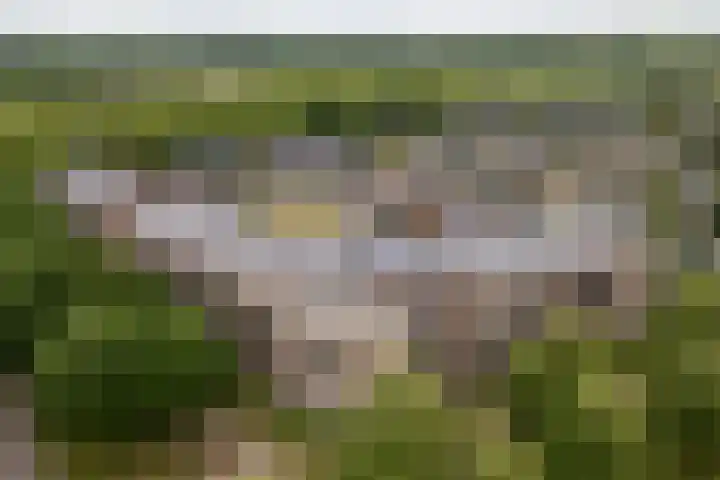 Rhijnhaeghe 24 Bunnik thumbnail 4