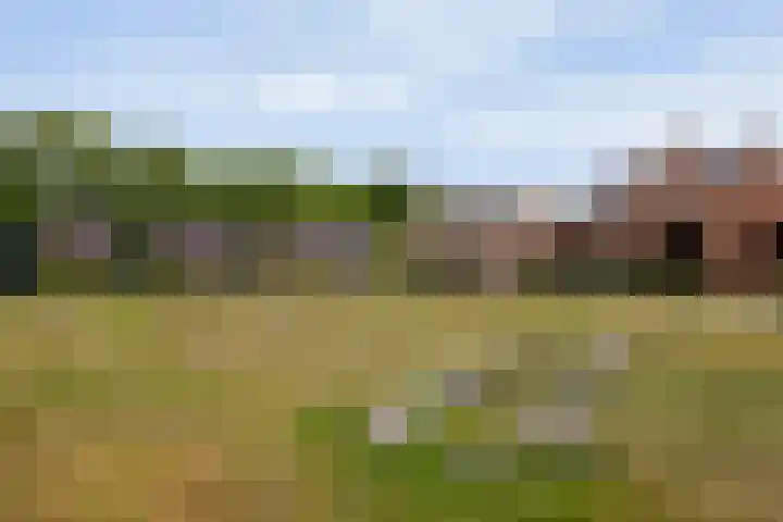 Rhijnhaeghe 24 Bunnik thumbnail 47