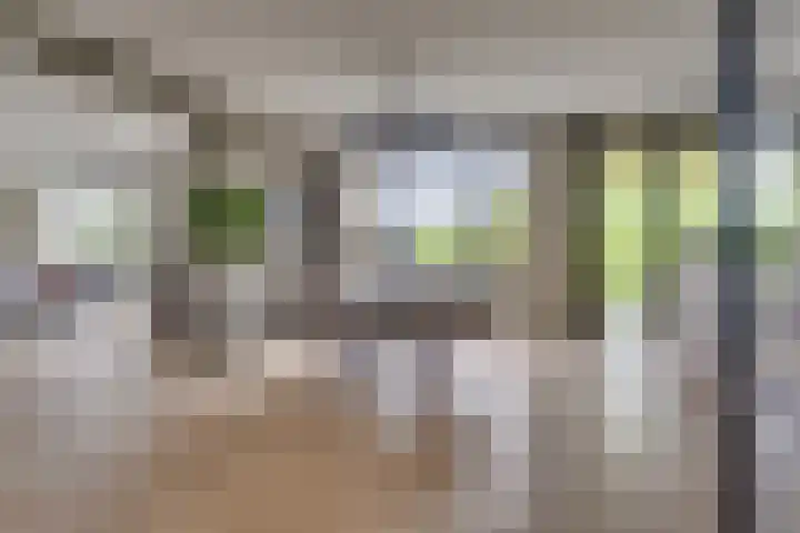 Rhijnhaeghe 86 Bunnik thumbnail 16