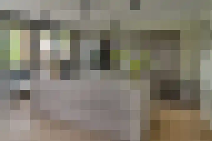 Rhijnhaeghe 86 Bunnik thumbnail 23