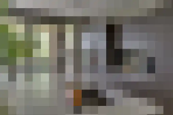 Rhijnhaeghe 86 Bunnik thumbnail 24