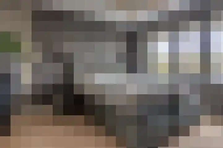 Rhijnhaeghe 86 Bunnik thumbnail 31
