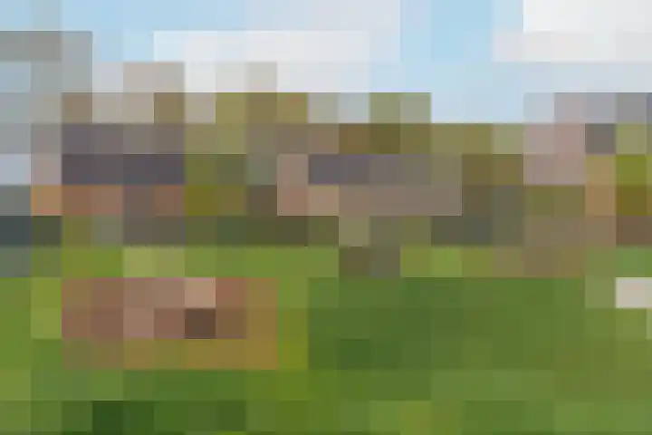 Rhijnhaeghe 86 Bunnik thumbnail 41