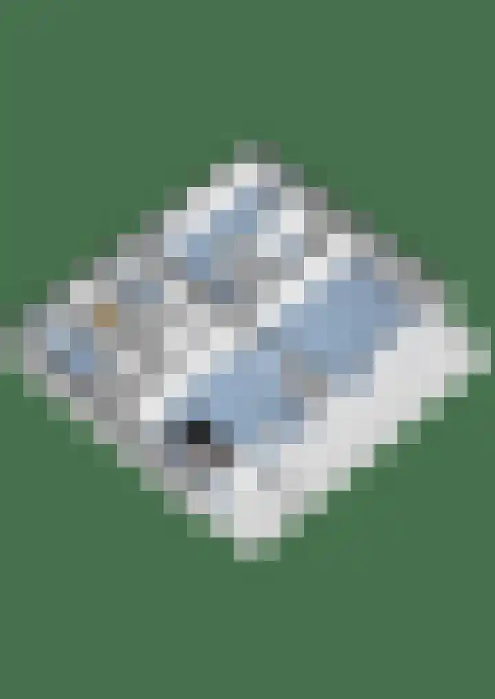 Rhijnhaeghe 86 Bunnik thumbnail 44