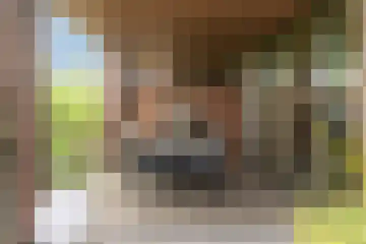 Rhijnhaeghe 86 Bunnik thumbnail 5