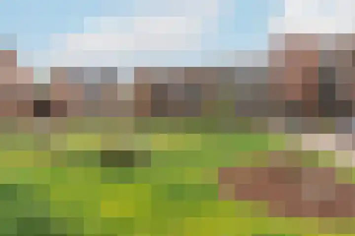 Rhijnhaeghe 86 Bunnik thumbnail 7