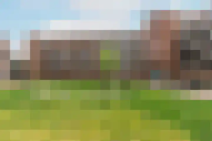 Rhijnhaeghe 86 Bunnik thumbnail 8