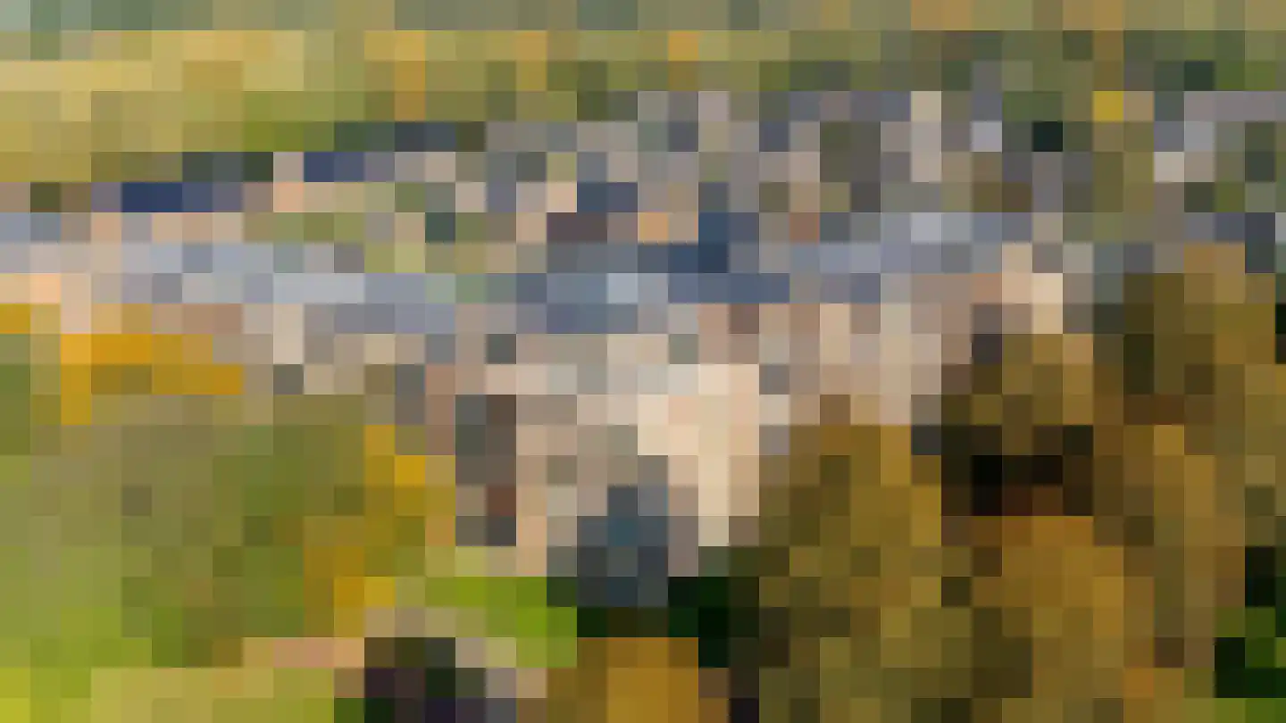 Rhijnhaeghe 92 Bunnik thumbnail 5