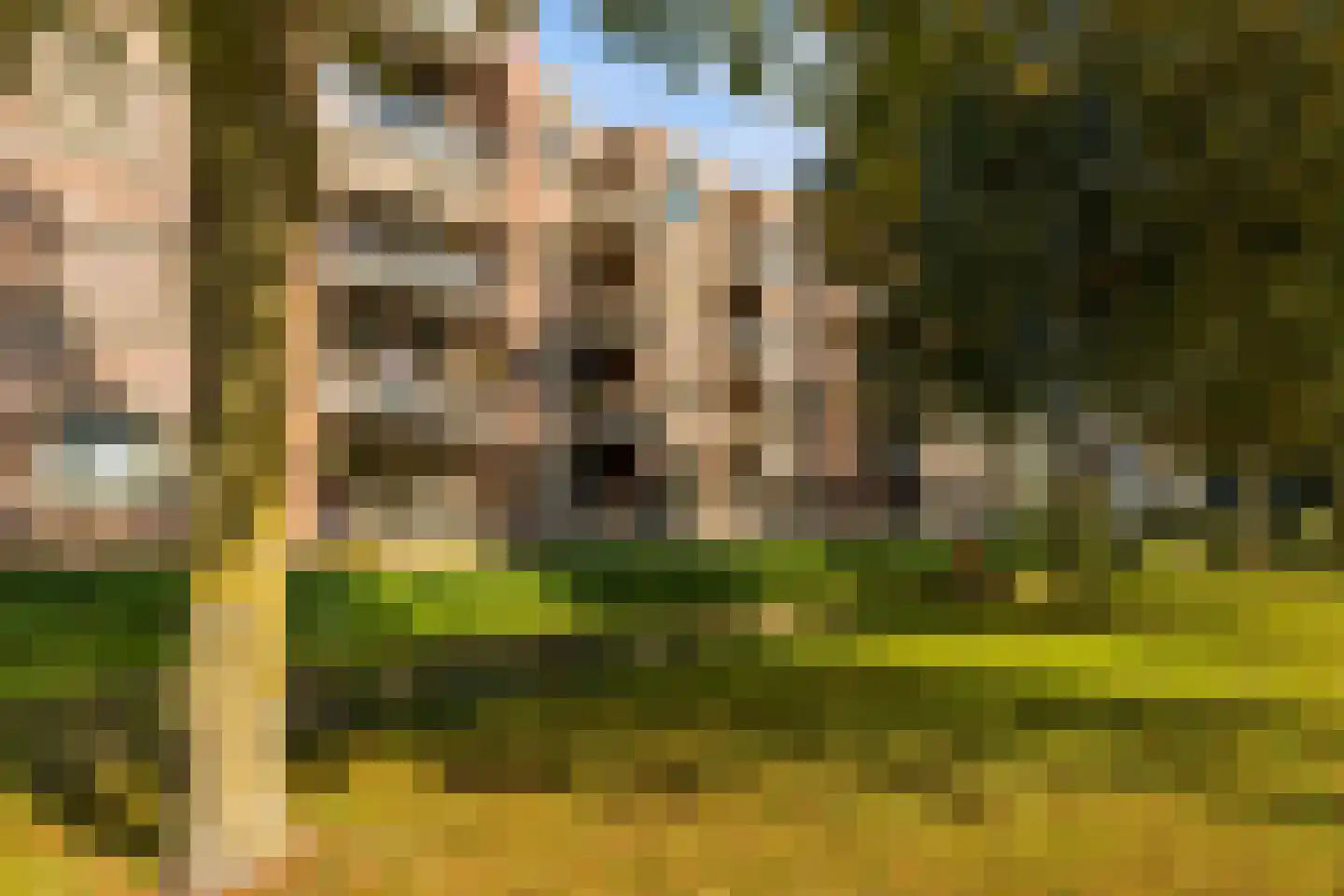 Rhijnhaeghe 92 Bunnik thumbnail 8