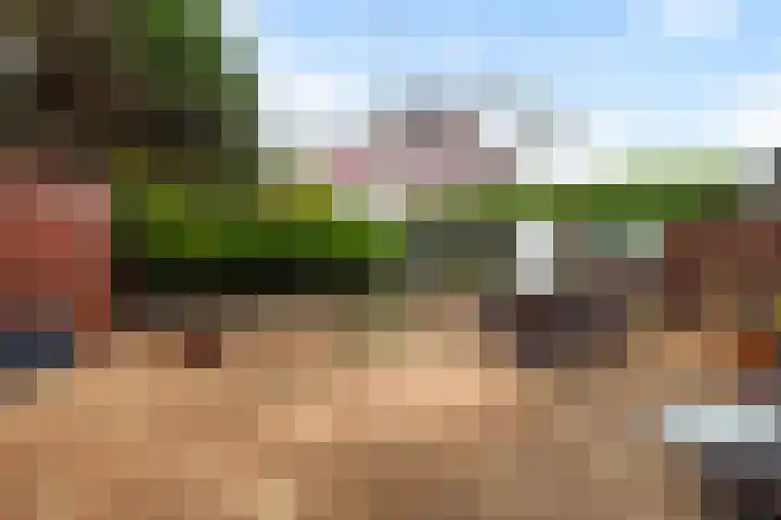 Rhijnhofweg 1 D Leiden thumbnail 37