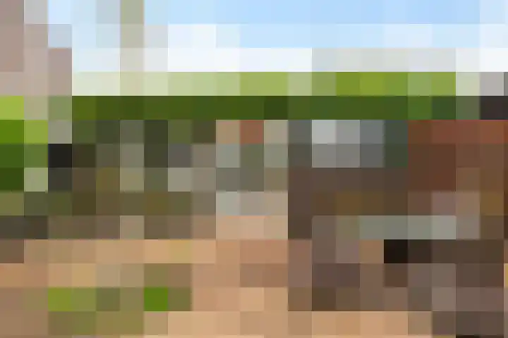 Rhijnhofweg 1 D Leiden thumbnail 38