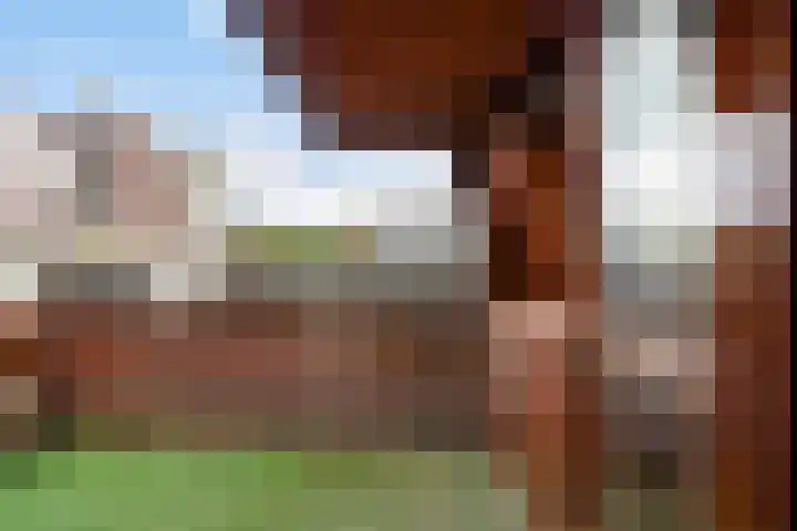 Rhijnhofweg 1 D Leiden thumbnail 45