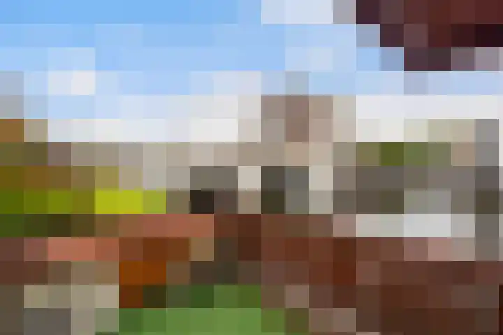 Rhijnhofweg 1 D Leiden thumbnail 46