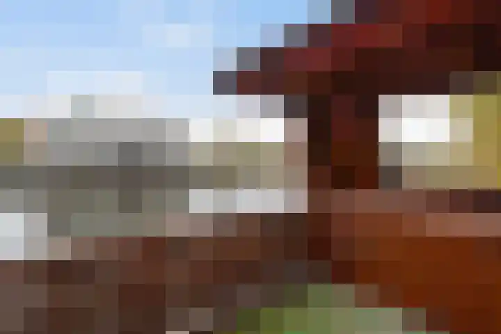 Rhijnhofweg 1 D Leiden thumbnail 47