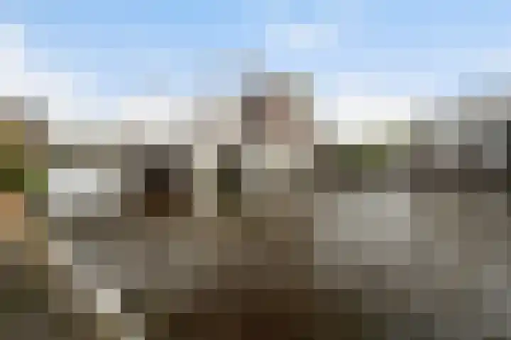 Rhijnhofweg 1 D Leiden thumbnail 51