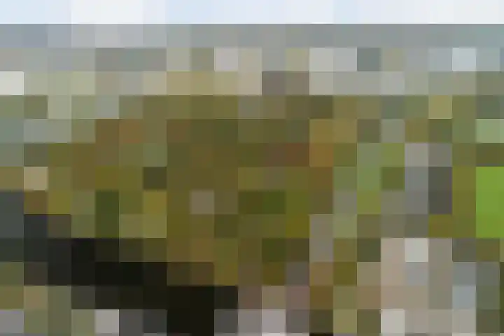 Rhijnhofweg 1 D Leiden thumbnail 8