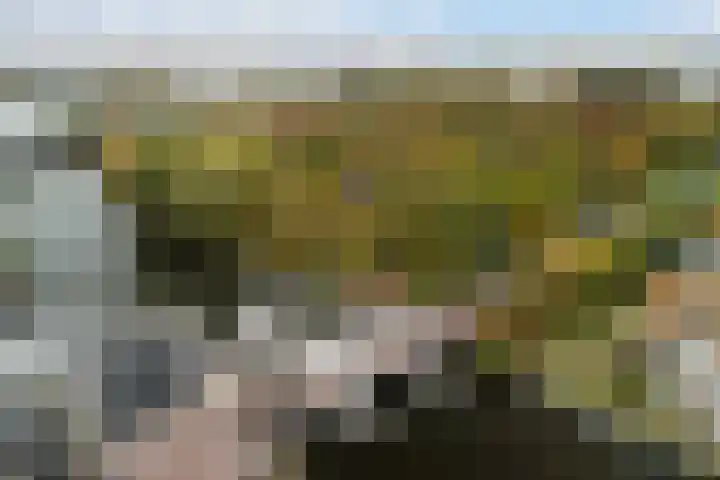 Rhijnhofweg 1 D Leiden thumbnail 9