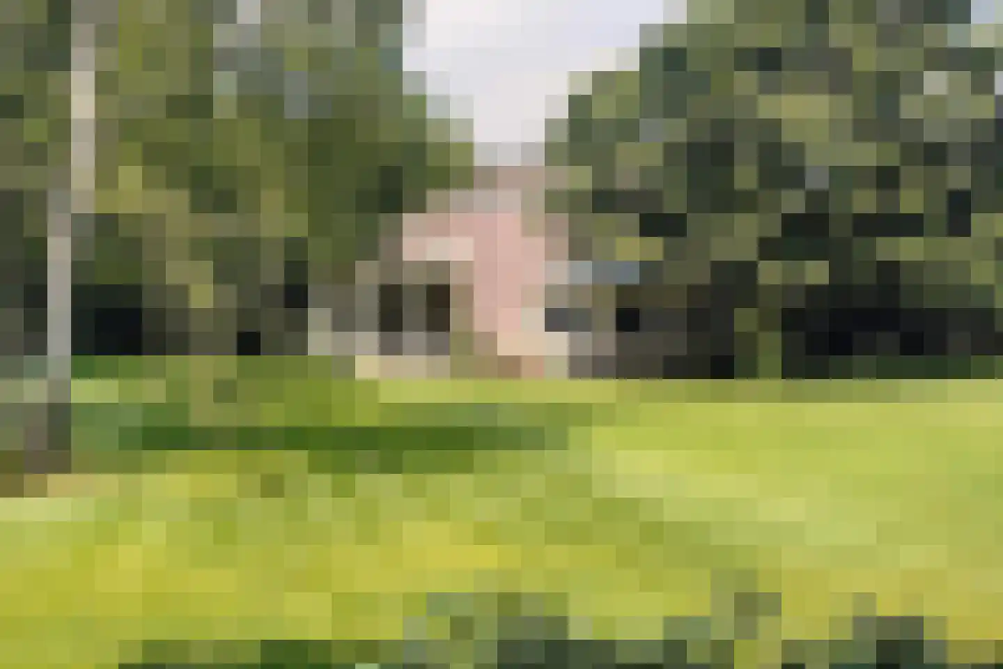 Rhijnhofweg 2 B Leiden thumbnail 11