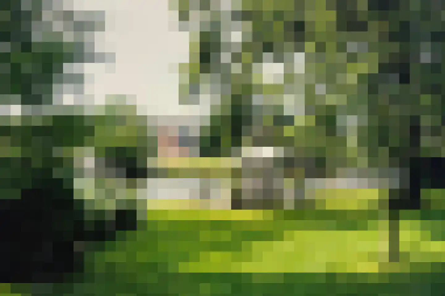 Rhijnhofweg 2 B Leiden thumbnail 12