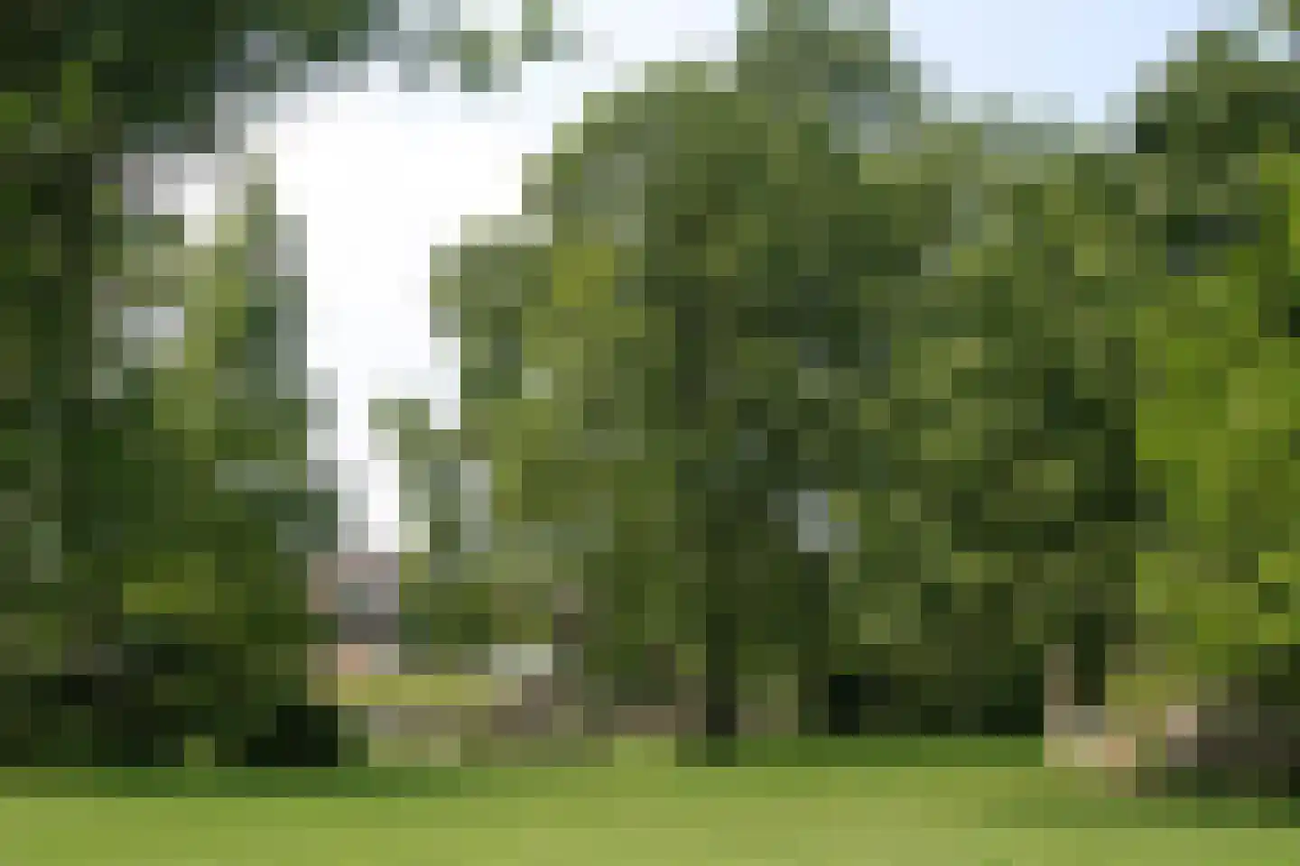 Rhijnhofweg 2 B Leiden thumbnail 13