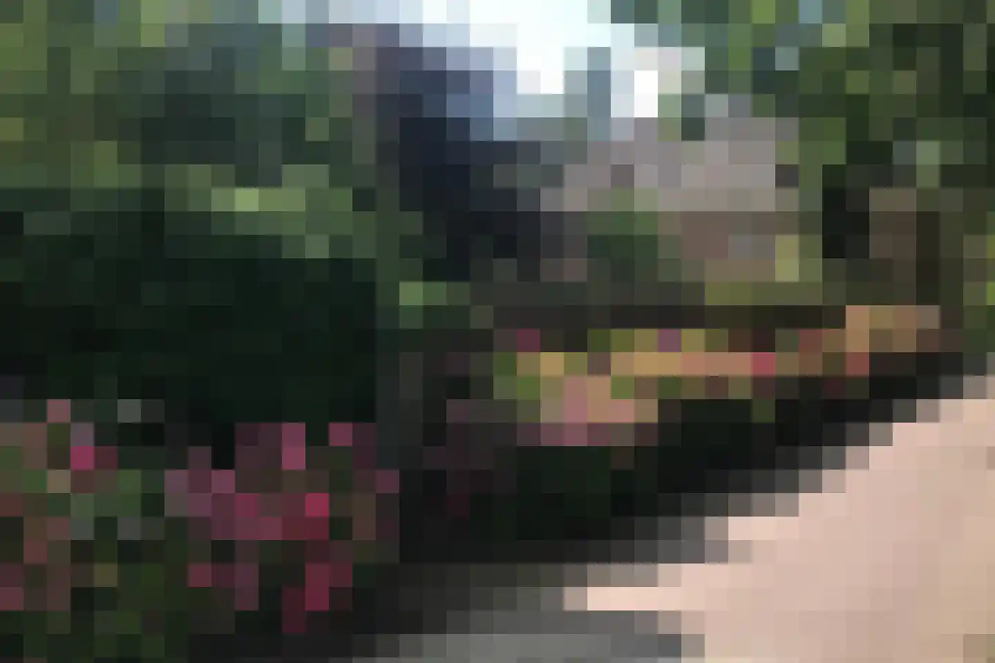 Rhijnhofweg 2 B Leiden thumbnail 18