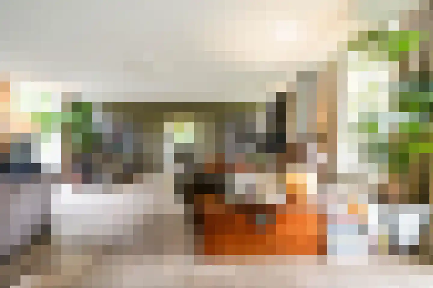 Rhijnhofweg 2 B Leiden thumbnail 20