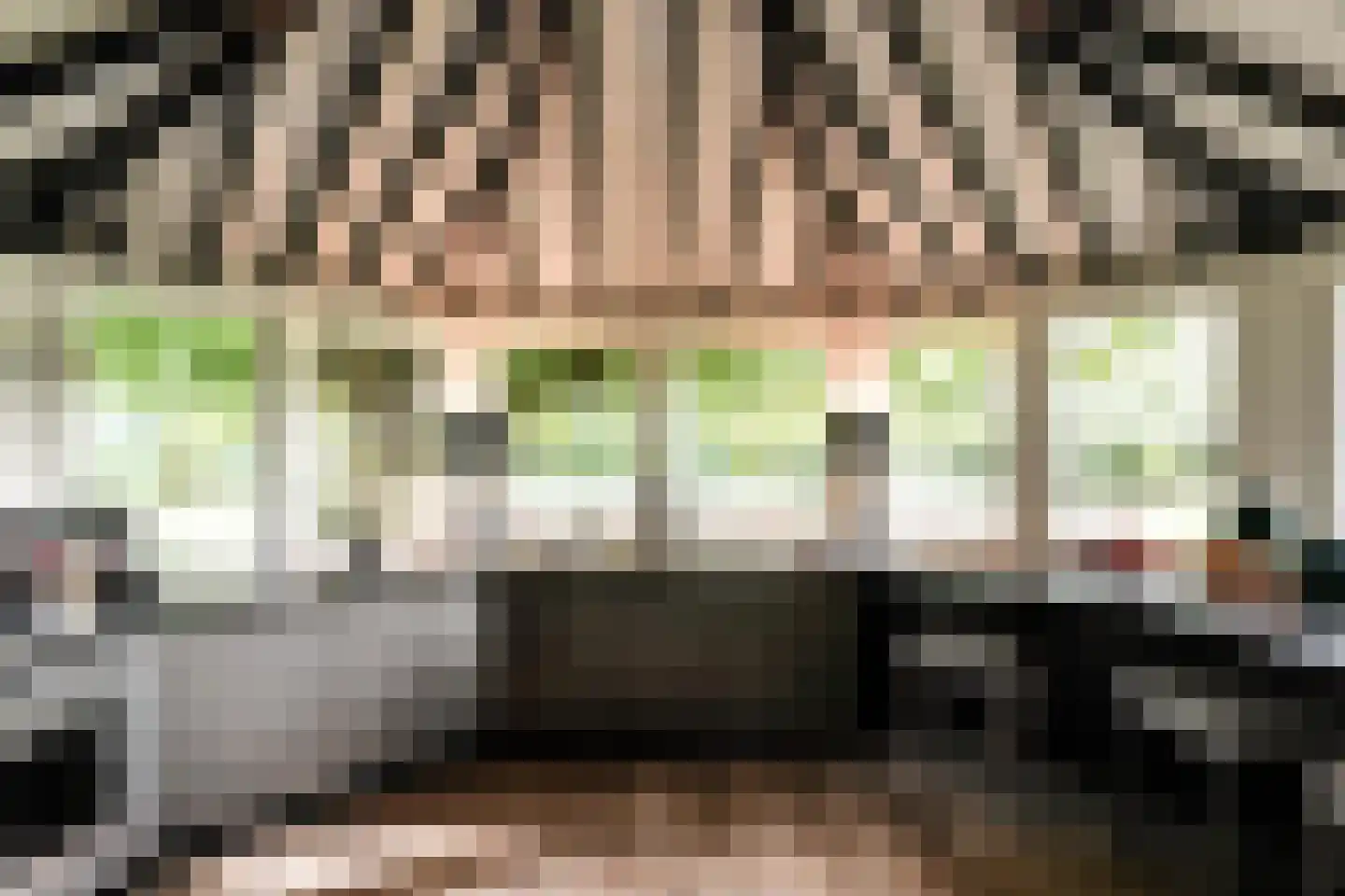 Rhijnhofweg 2 B Leiden thumbnail 22