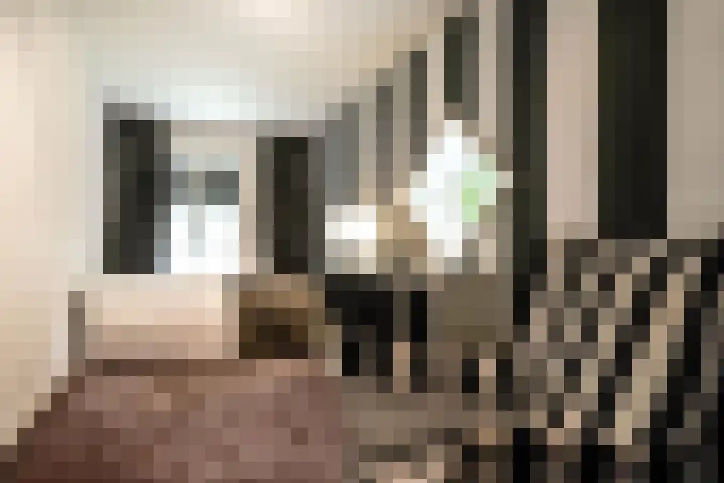 Rhijnhofweg 2 B Leiden thumbnail 26