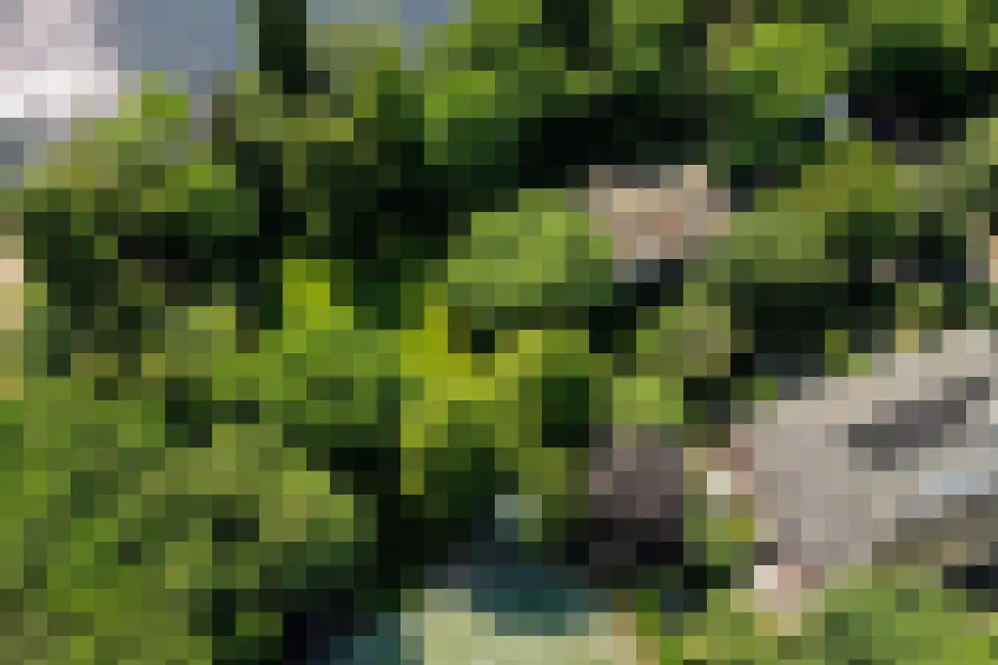 Rhijnhofweg 2 B Leiden thumbnail 4