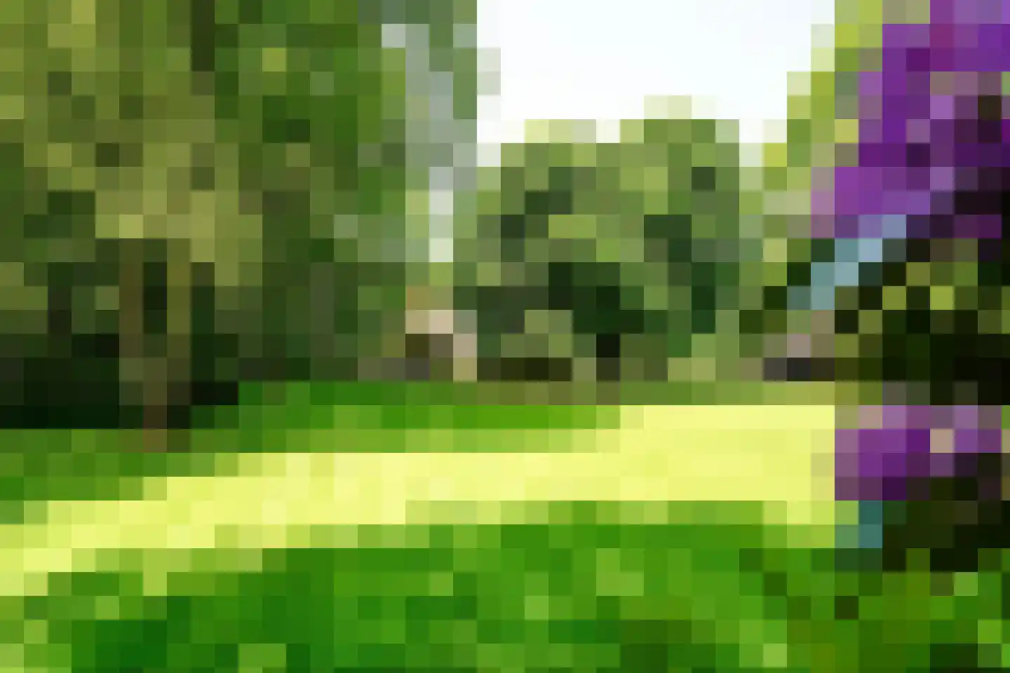 Rhijnhofweg 2 B Leiden thumbnail 5