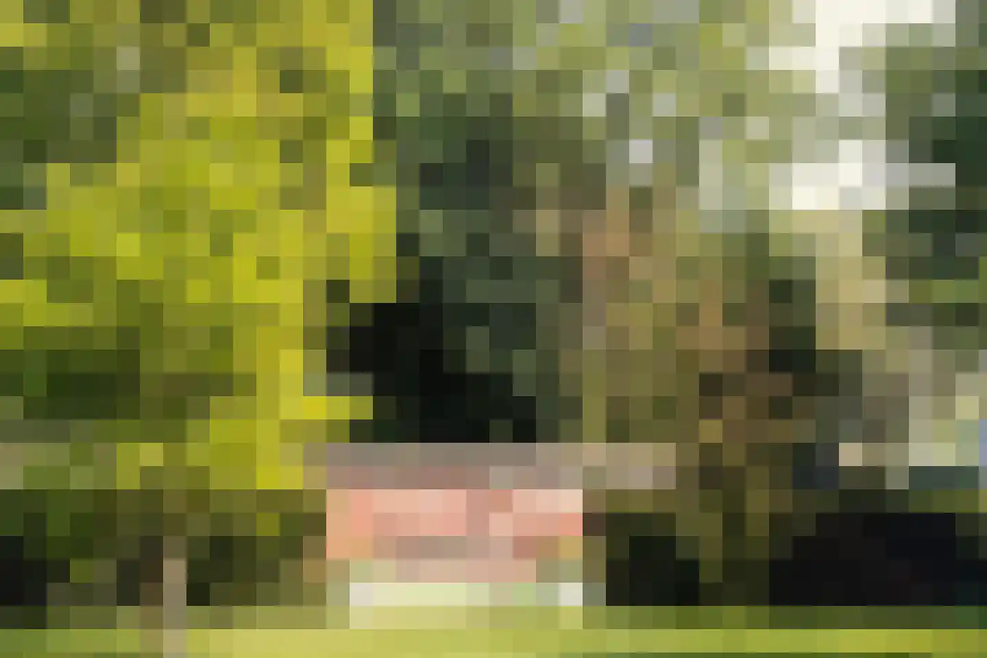 Rhijnhofweg 2 B Leiden thumbnail 9