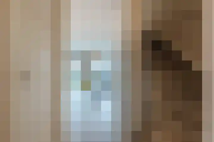 Rhijnhofweg 22 Oegstgeest thumbnail 10